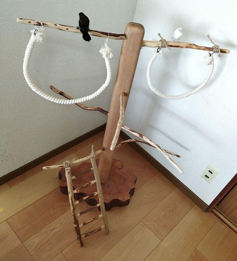 【中型鳥さん用】螺旋状♬バードアスレチック