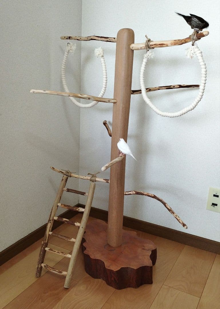 【中型鳥さん用】螺旋状♬バードアスレチック