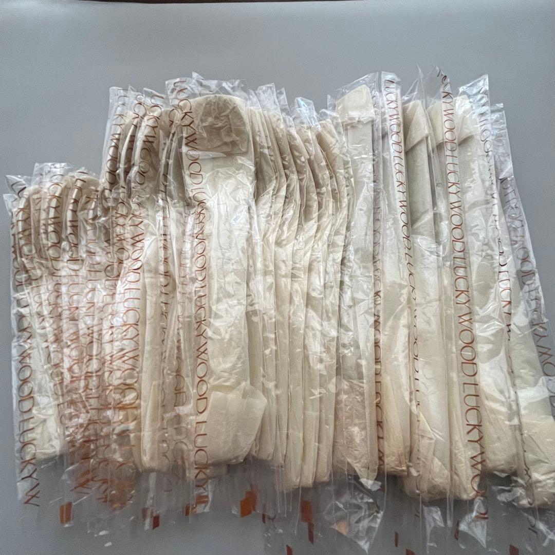 未使用品 ラッキーウッド エデン廃盤品 ディナーカトラリーセット 40μ