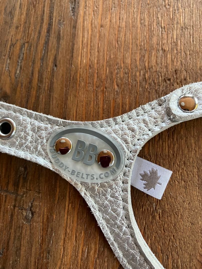 たま　バディベルトムーンウォーク4.5未使用 BUDDY BELTS