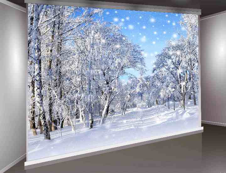 クリスマス用・撮影背景布(300cm×300cm)