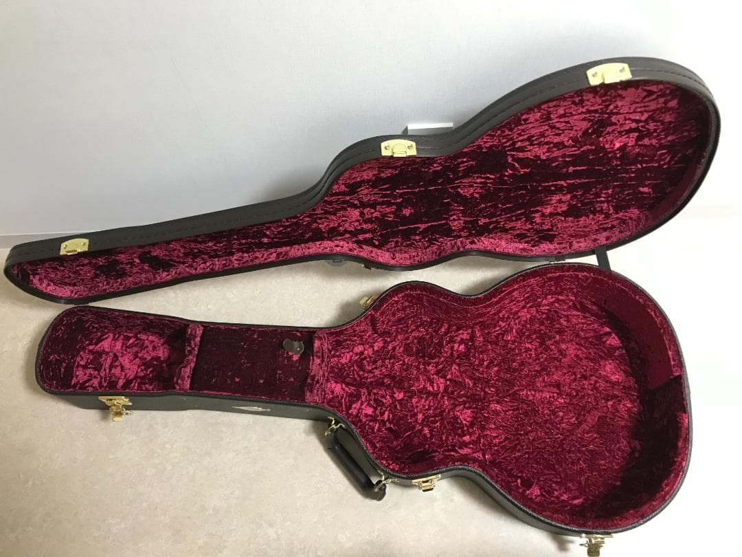 テイラー　純正ハードケース　214ceDLX　Taylor hardcase