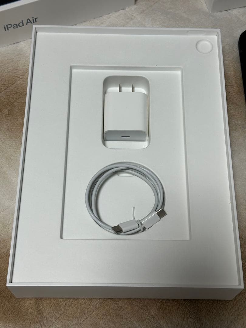 Apple iPad Air 10.9インチ スカイブルー 本体