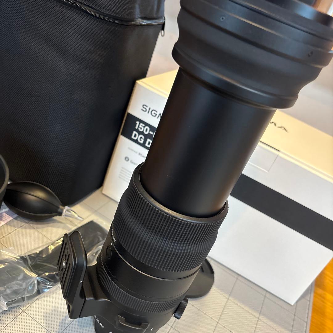 レンズ(ズーム) sigma150-600f5-6.3DG DN OS SportsE-mount