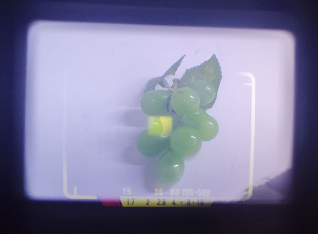 OLYMPUS 35DC（動作美品）