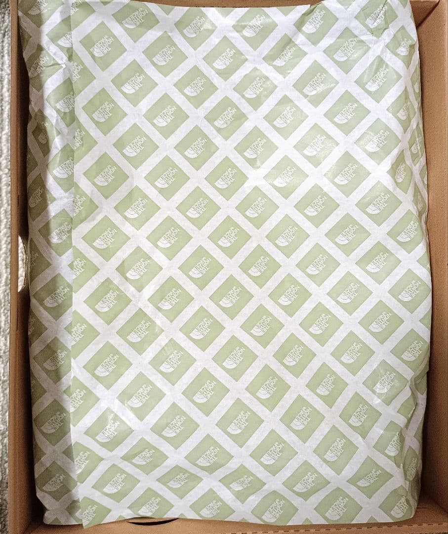 ノースフェイス　ヌプシブーティ　スノーブーツ　24cm NFW51979