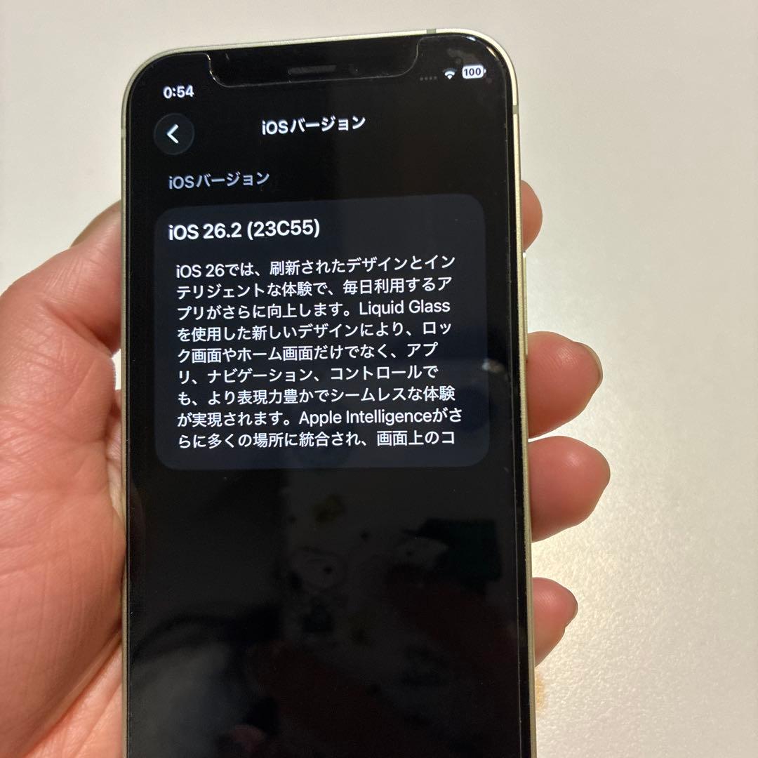 iPhone12 mini SIMフリーミント