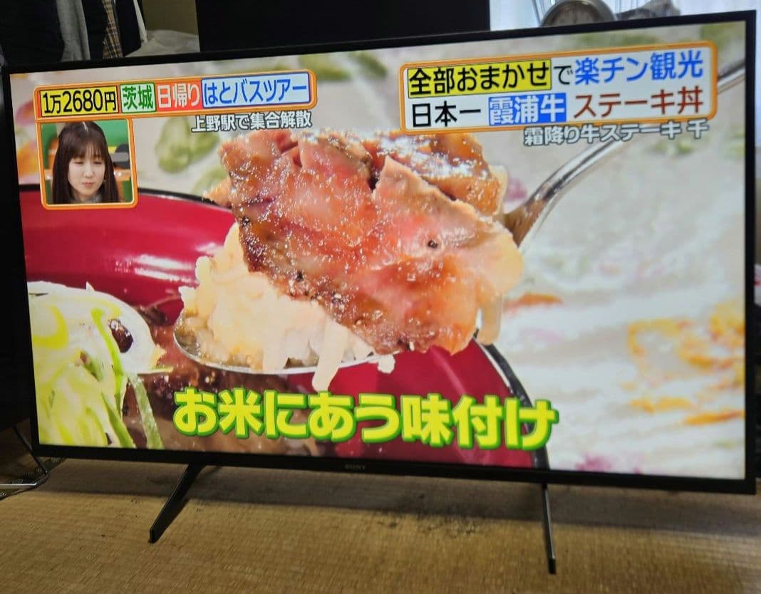 4K SONY BRAVIA液晶テレビ KJ-49X8000H 2021年