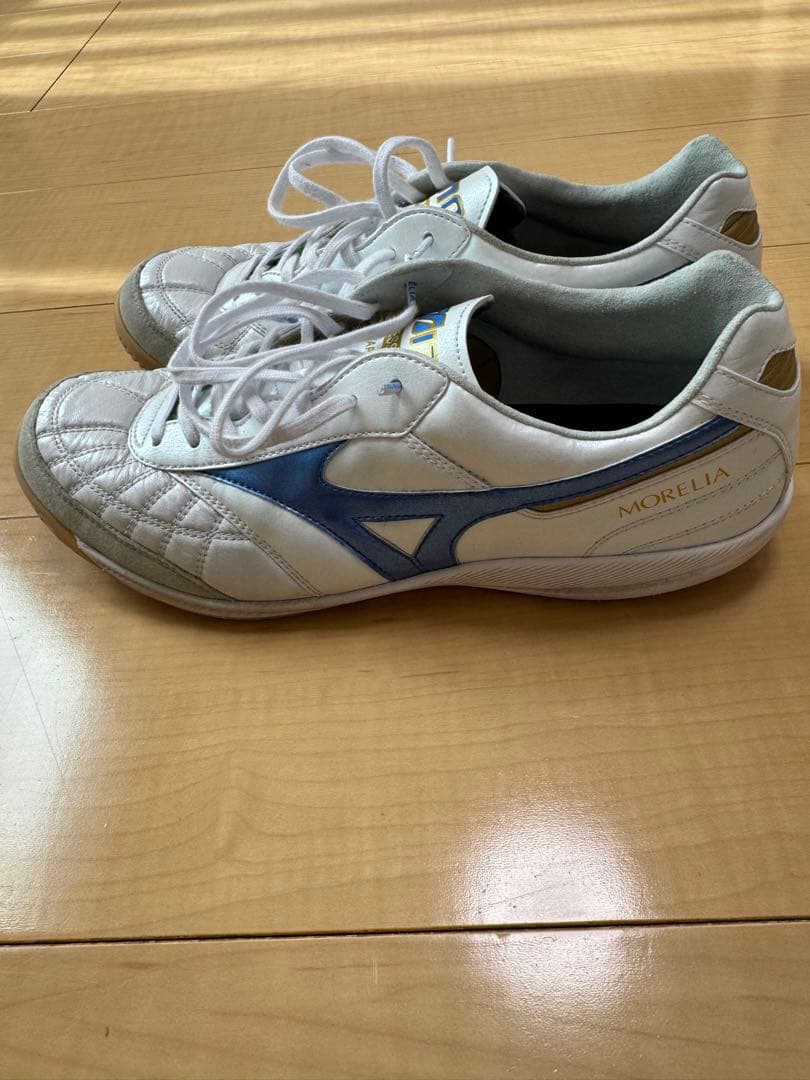 モレリア　サラ　ジャパン　イン　MIZUNO ENERZY 25.5cm