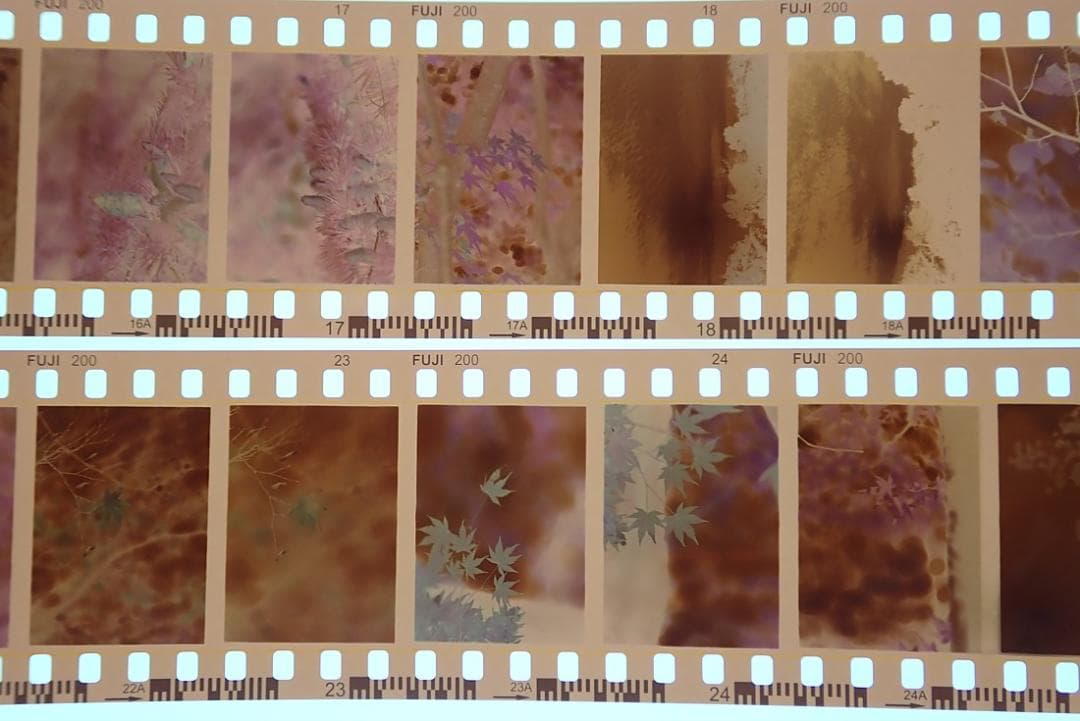 オリンパスペンF 実写済み 38mm f1.8 OLYMPUS PEN F