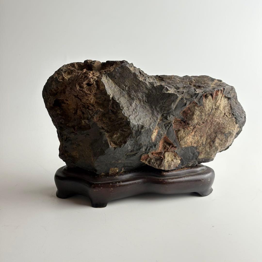 古美術 菊花石 飾石 天然石 盆石 鑑賞石