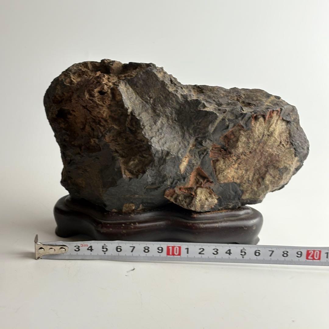 古美術 菊花石 飾石 天然石 盆石 鑑賞石