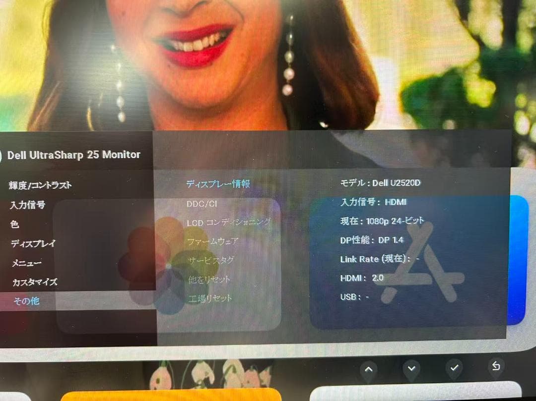 Dell U2520D 25型2K IPSモニターUSB-C/DP/HDMI対応