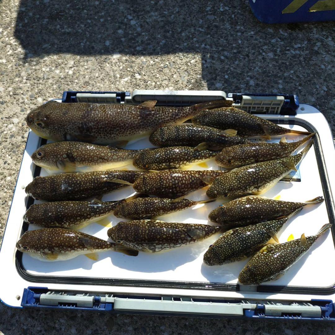 ★美品★湾ふぐロッドSHIMANO BAYGAME 船竿 180cm CI4+