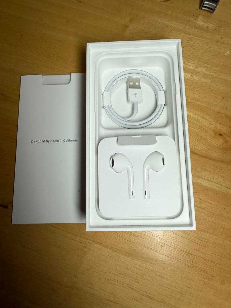 Apple iPhone SE (第2世代) 64GB ※箱・イヤホン付き