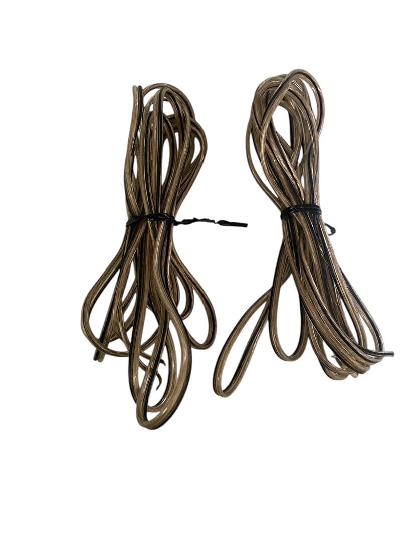 Victor SP-EXAR3　ウッドコーンスピーカー