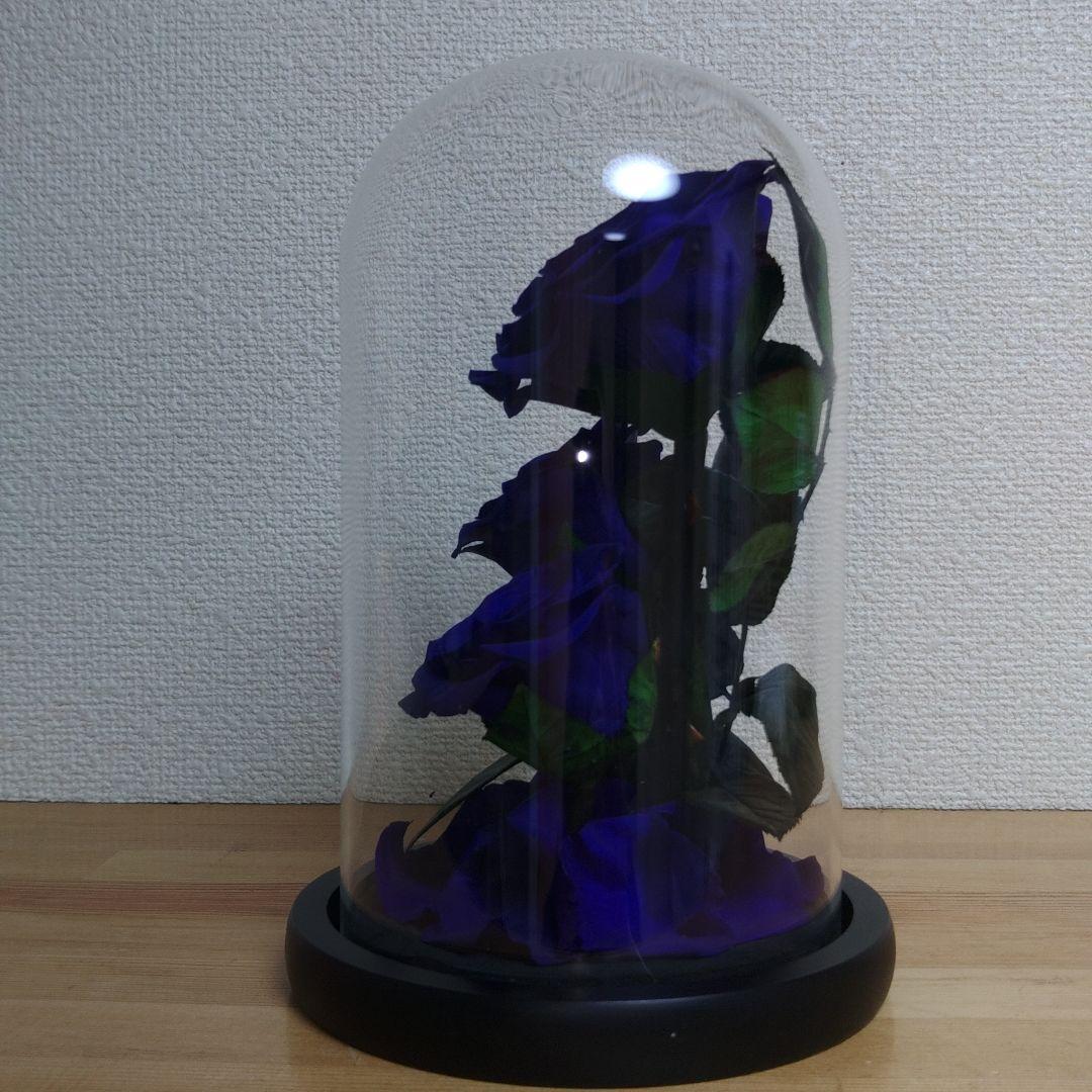 プリザーブドフラワー　ガラスドーム　 ローズメリア 3輪　ブルー　青