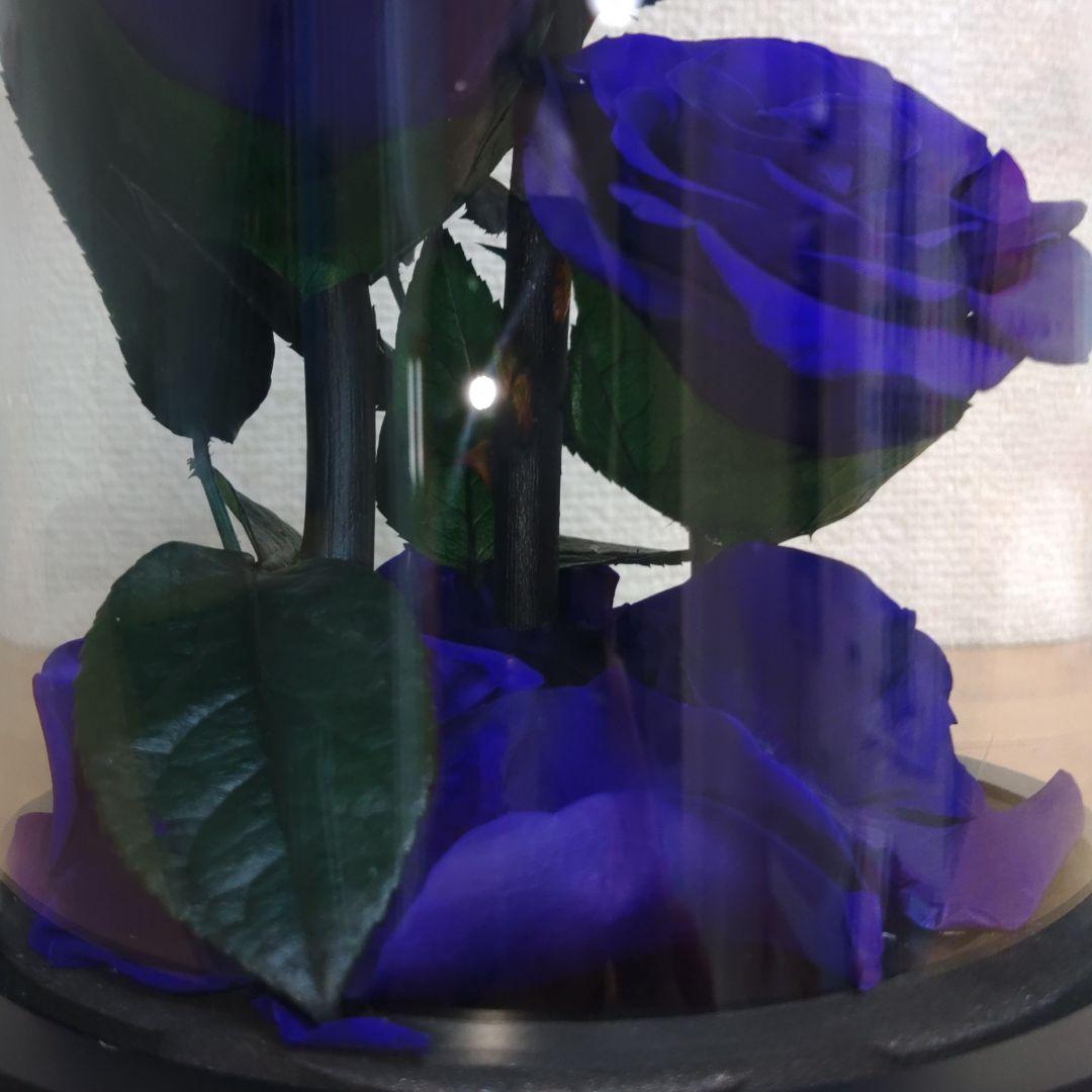 プリザーブドフラワー　ガラスドーム　 ローズメリア 3輪　ブルー　青