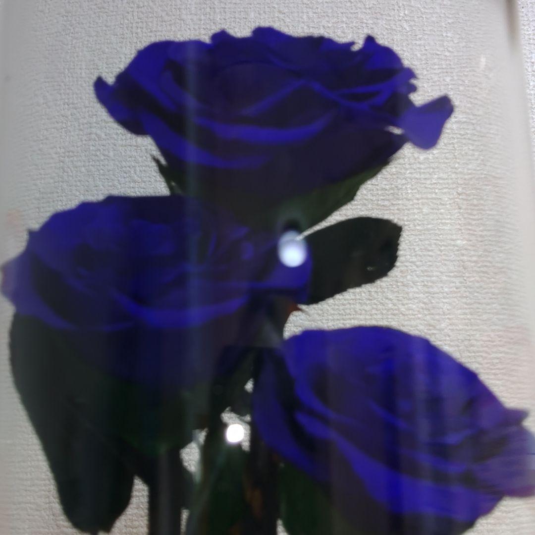 プリザーブドフラワー　ガラスドーム　 ローズメリア 3輪　ブルー　青