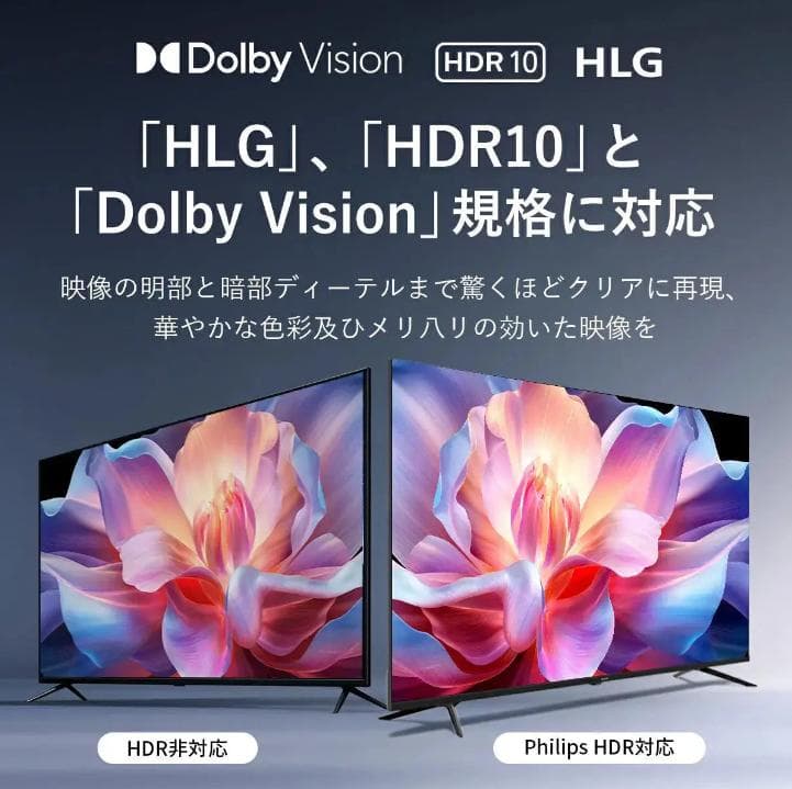 【過去最大割引！ 】PHILIPS チューナーレステレビ PUH7169 50型