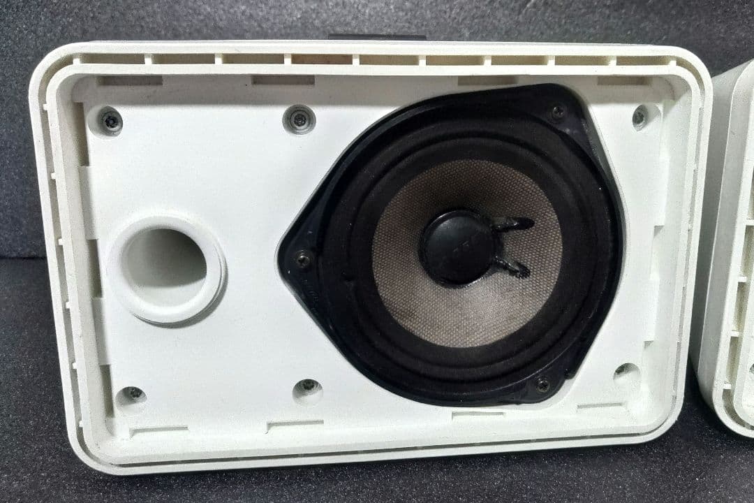 BOSE ボーズ スピーカー 101MMW 天吊り ペア 　ブルーネット