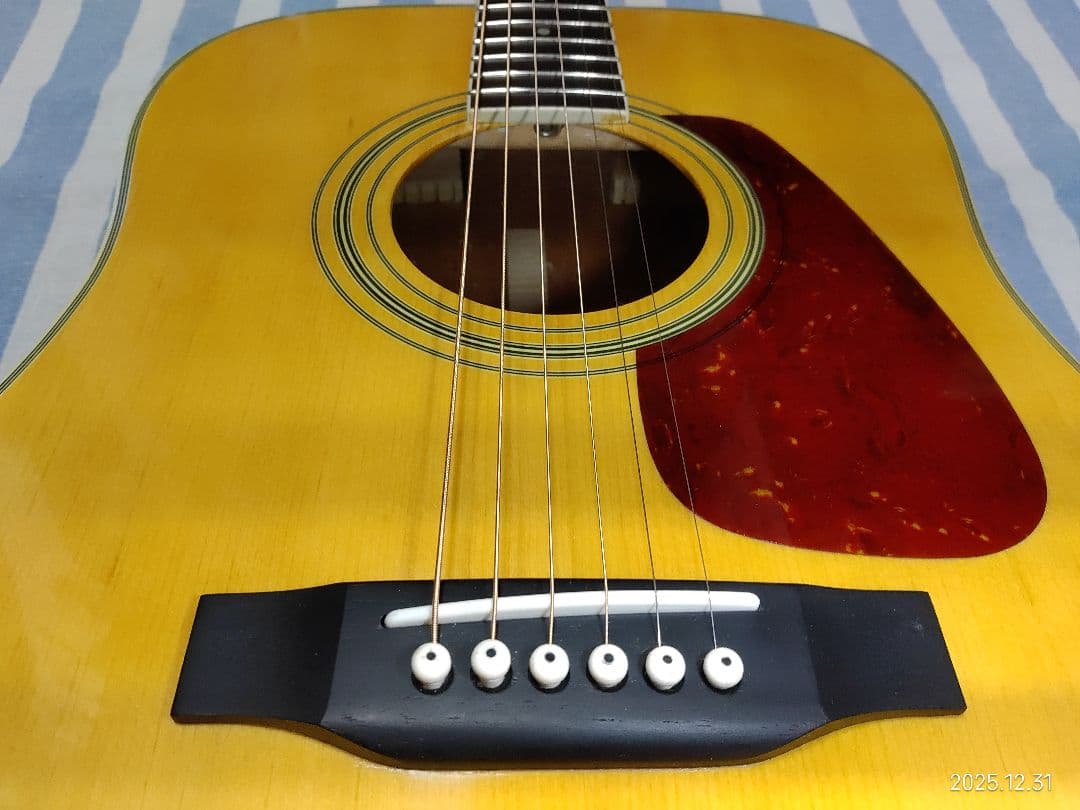 初心者用MORRISのドレッドノートタイプのフォークギターMD-507N美品です