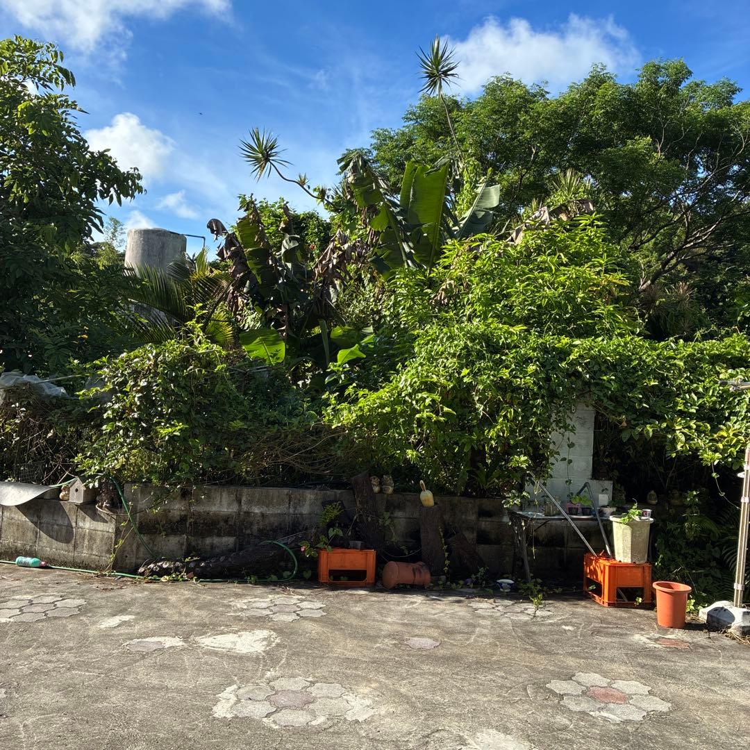 機織り機　そうこう　糸車　その他 沖縄限定