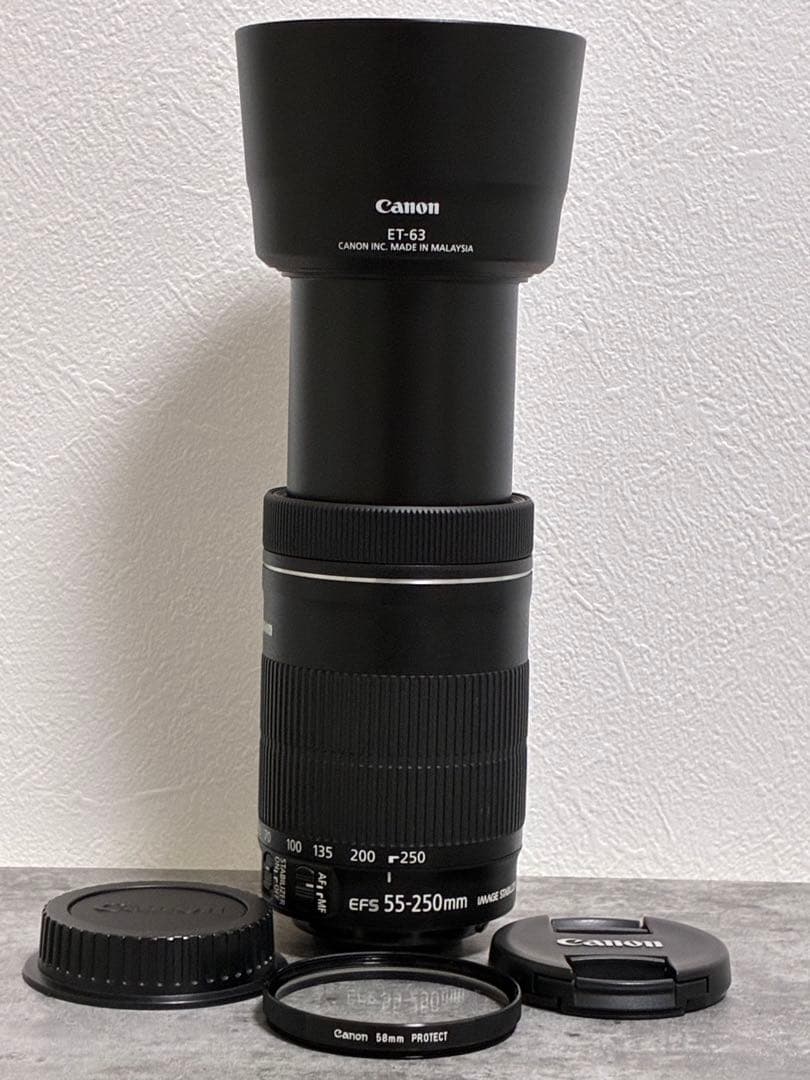 ⭐️美品⭐️Canon EF-S55-250mm IS STM フード付き望遠レンズ