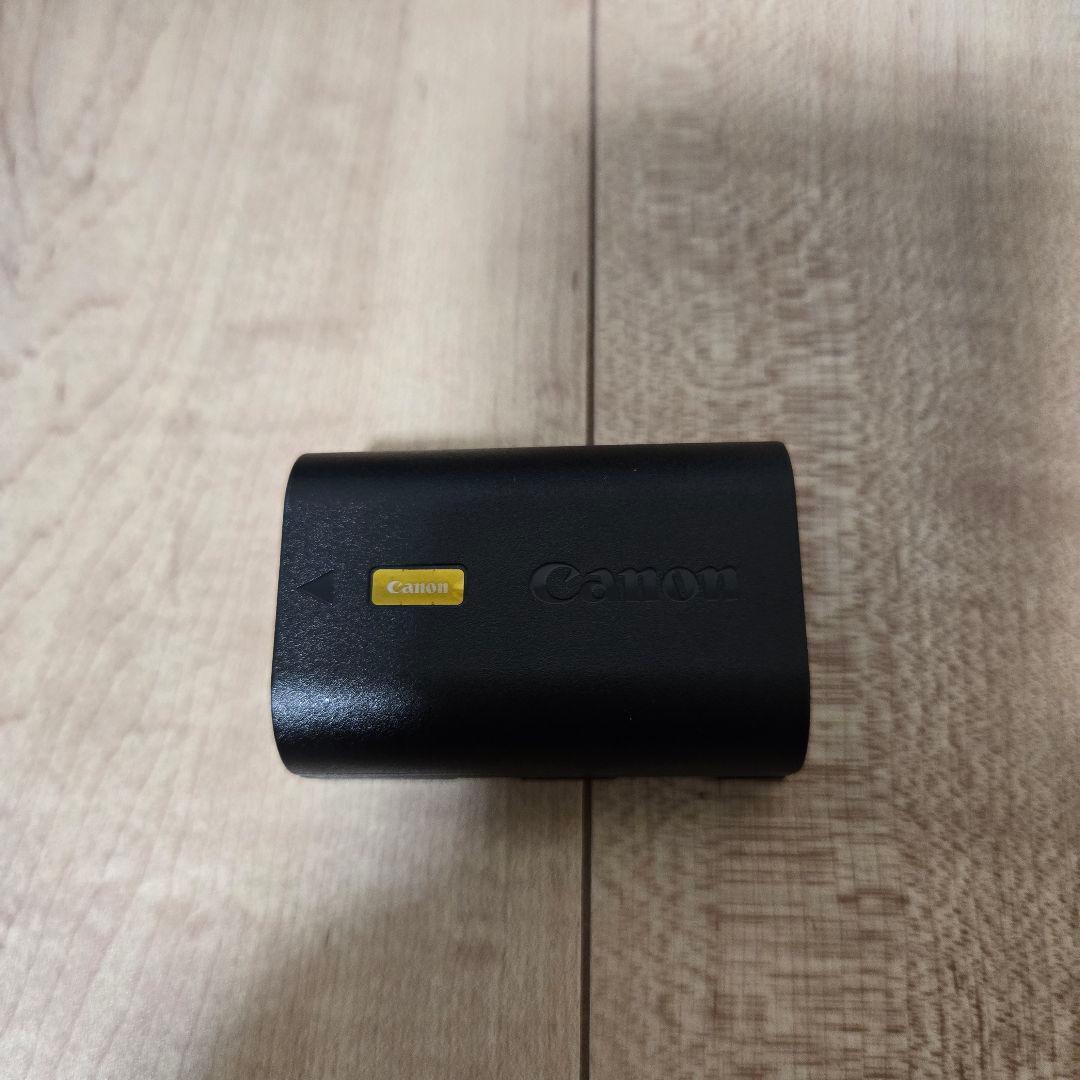 EOS R6 Mark II・RF24-105 IS STM レンズキット