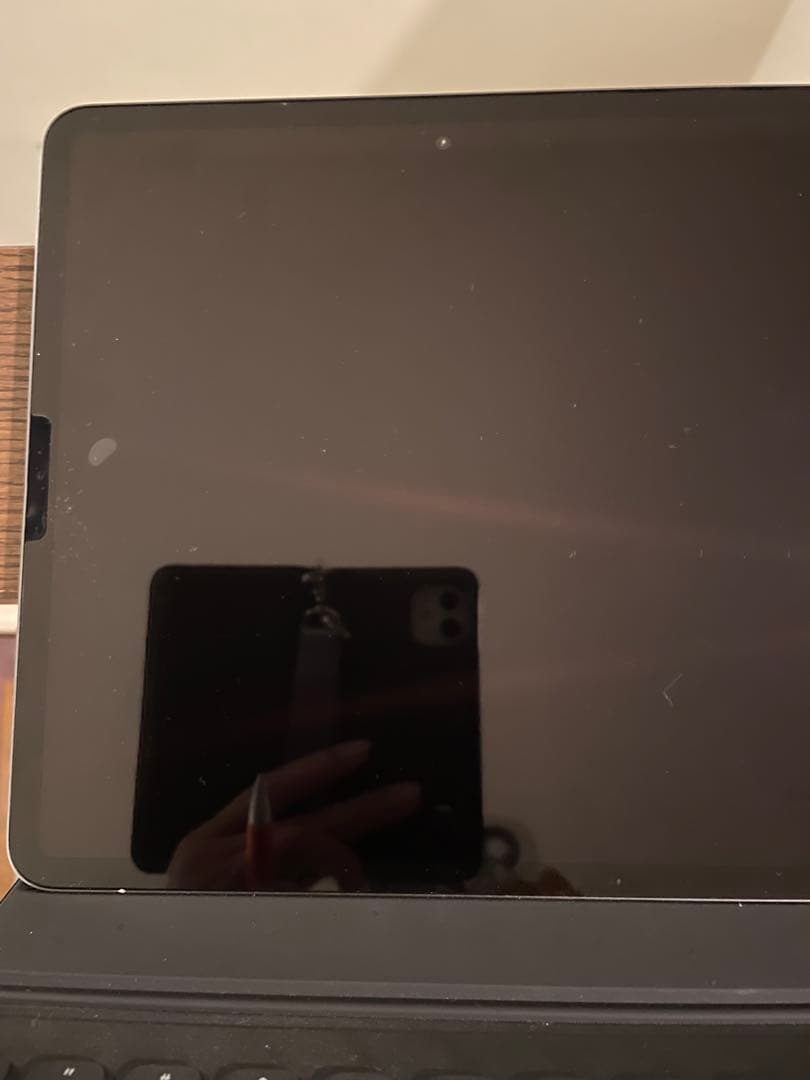 【美品】iPad Pro 12.9インチ4代目256 GB ￼