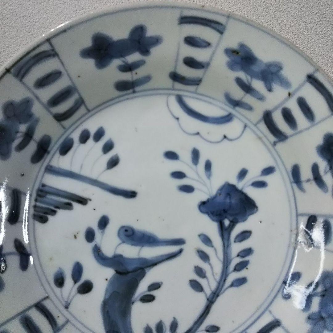 初期  伊万里  薺  花鳥文様６寸皿