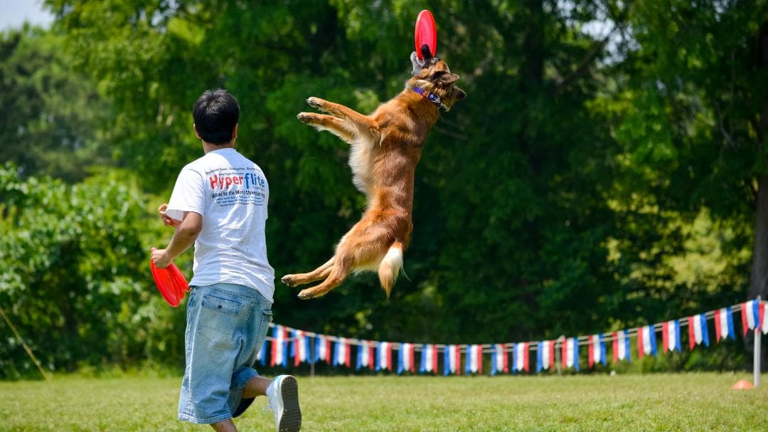 TAMRON SP 70-300mm F4-5.6 Di VC （A005）