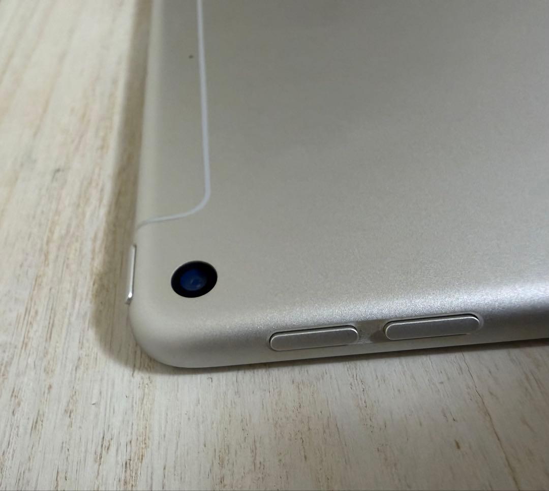 iPad mini 第5世代 cellular セルラー ApplePencil