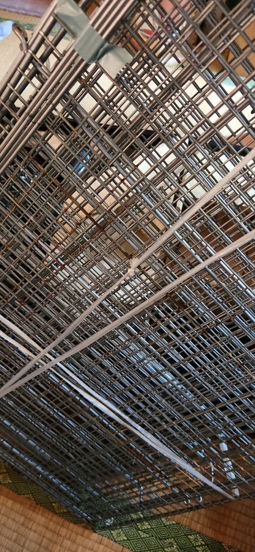 チンチラ　イージーホーム80ハイ 飼育セット