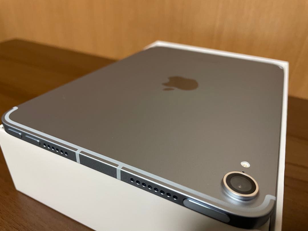 極美品iPad mini (第7世代) 256 Wi-Fi + Cellular