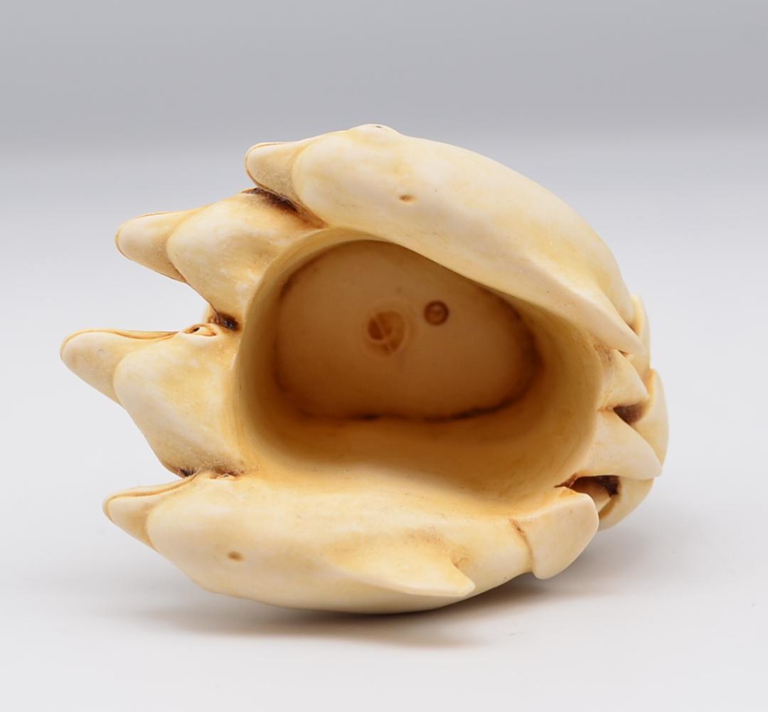 ハーモニーキングダム　フィギュリン　5点セット　イギリス　箱付き　ご成約済み