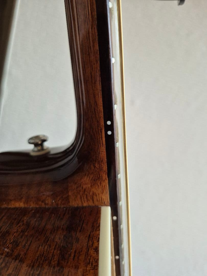 Guild ギルド エレアコ OM-140CE オール単板仕様