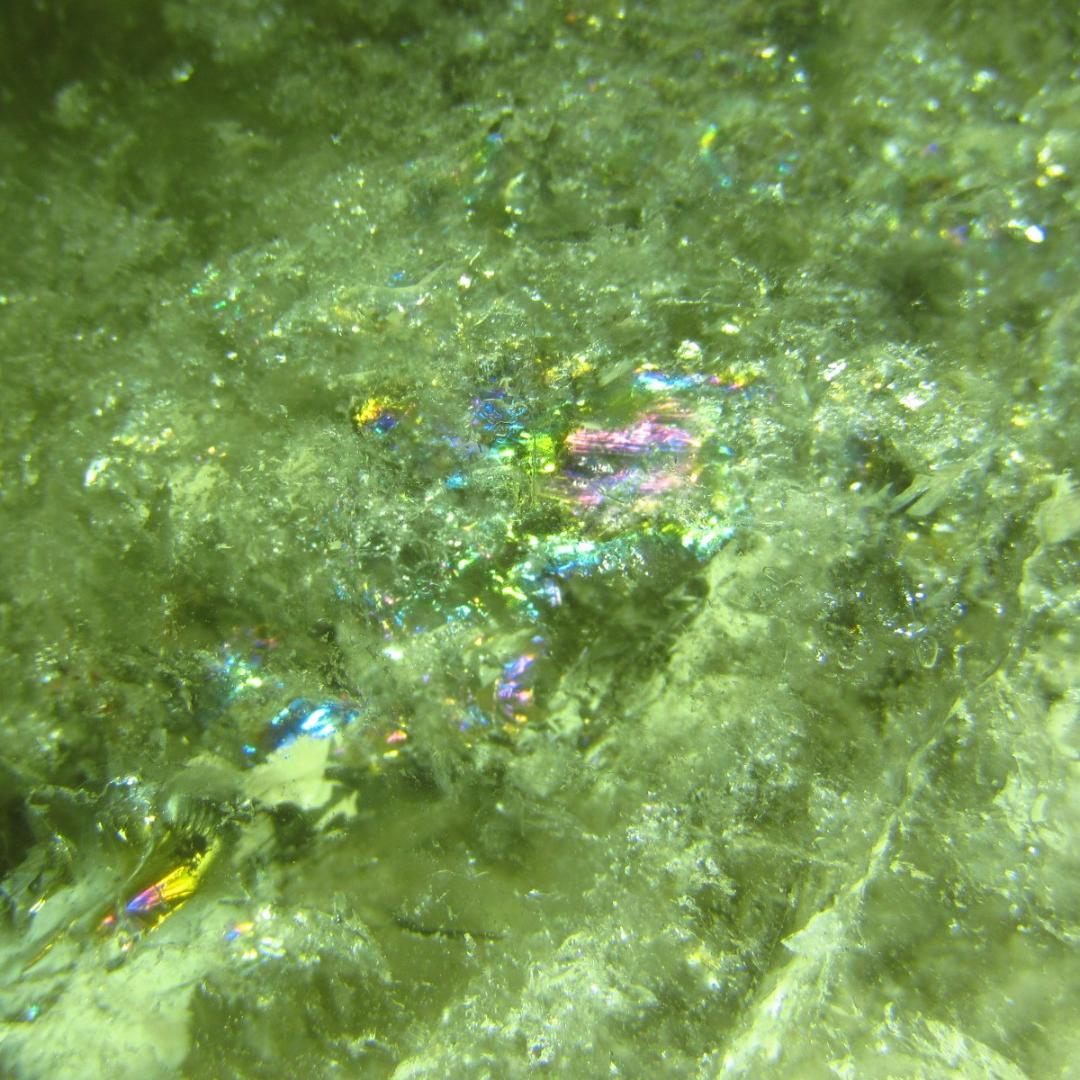 フランキンセンス出品（他の方は購入をご遠慮ください）