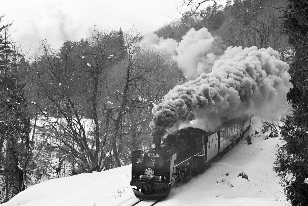 ヤシカ FFT／オートヤシノンDS50mmf1.9フード付【実写確認済整備品】