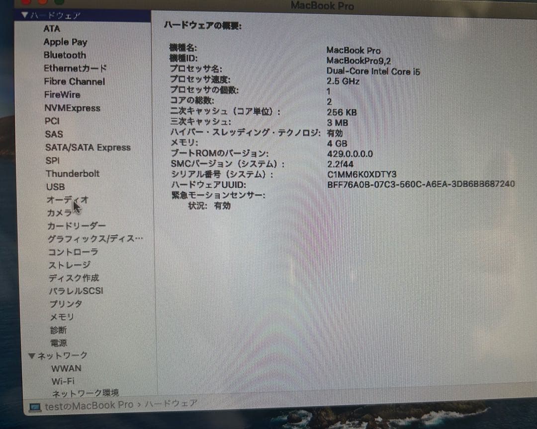 【動作確認済】美品‼︎ 13インチ MacBook Pro Mid-2012