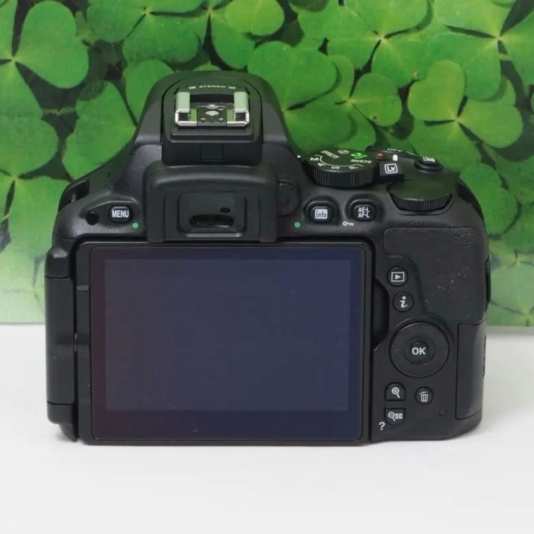 【美品】Wifi搭載❤️自撮りOK ニコンD5500 2416万画素ダブルレンズ