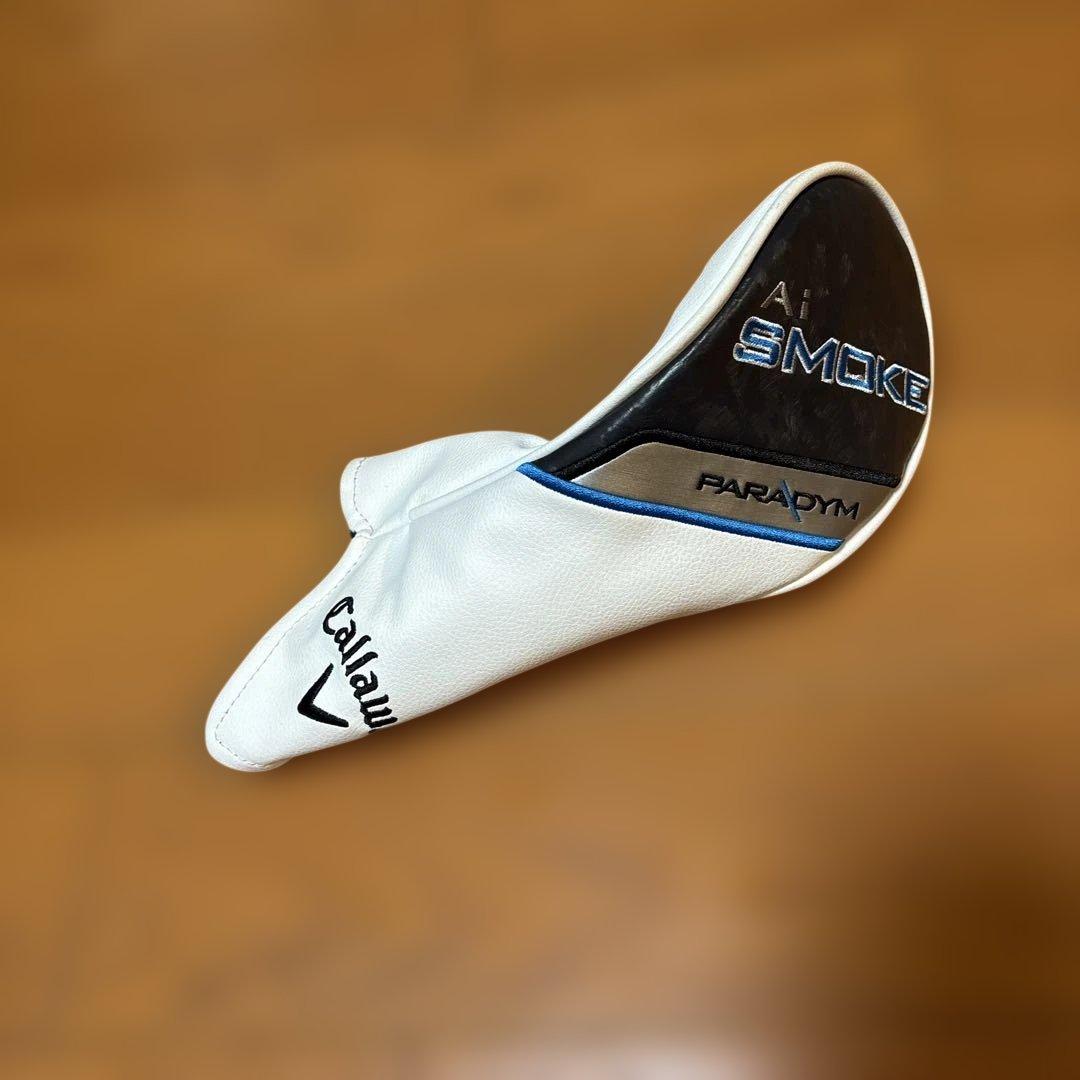 AIスモーク　トリプルダイヤ3W シンカグラファイトLOOP FW FIVE