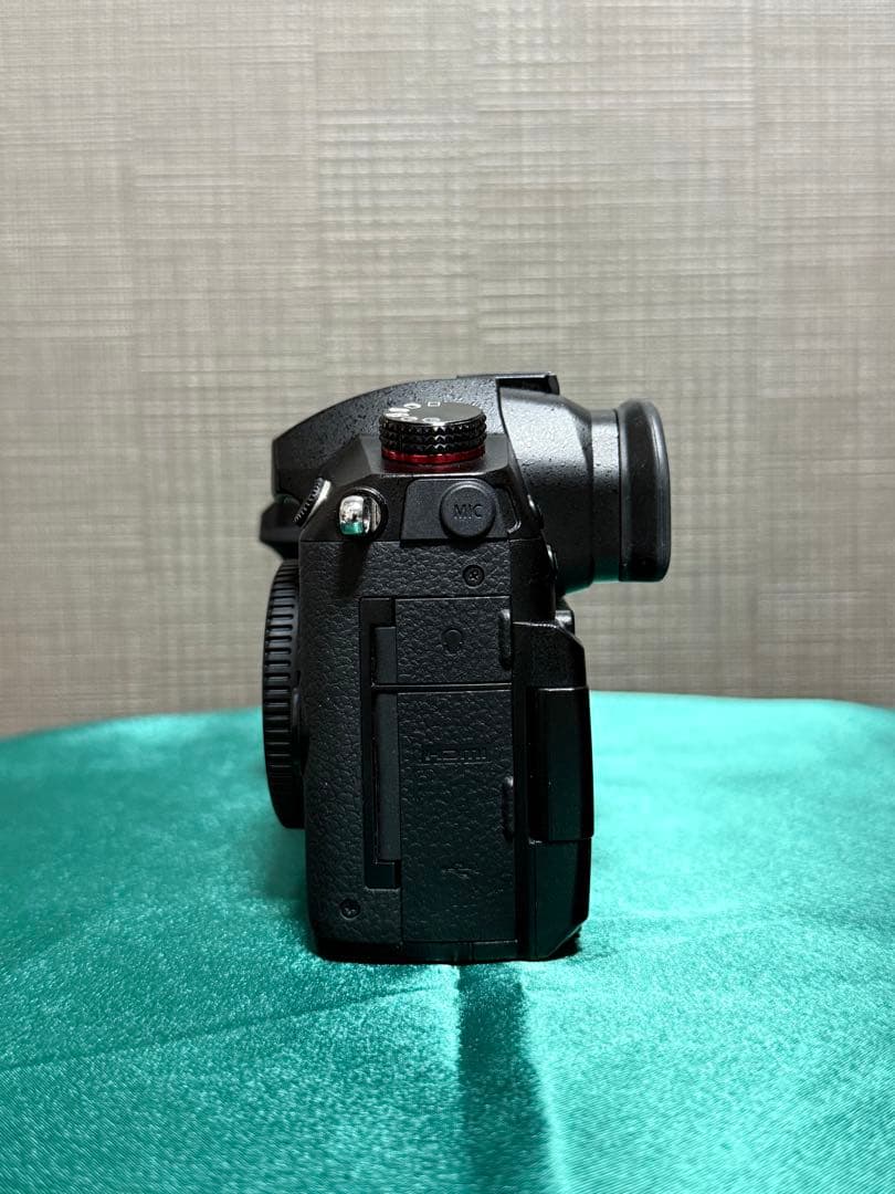 Panasonic LUMIX GH5S 本体　ミラーレス一眼 ☆美品・完動品