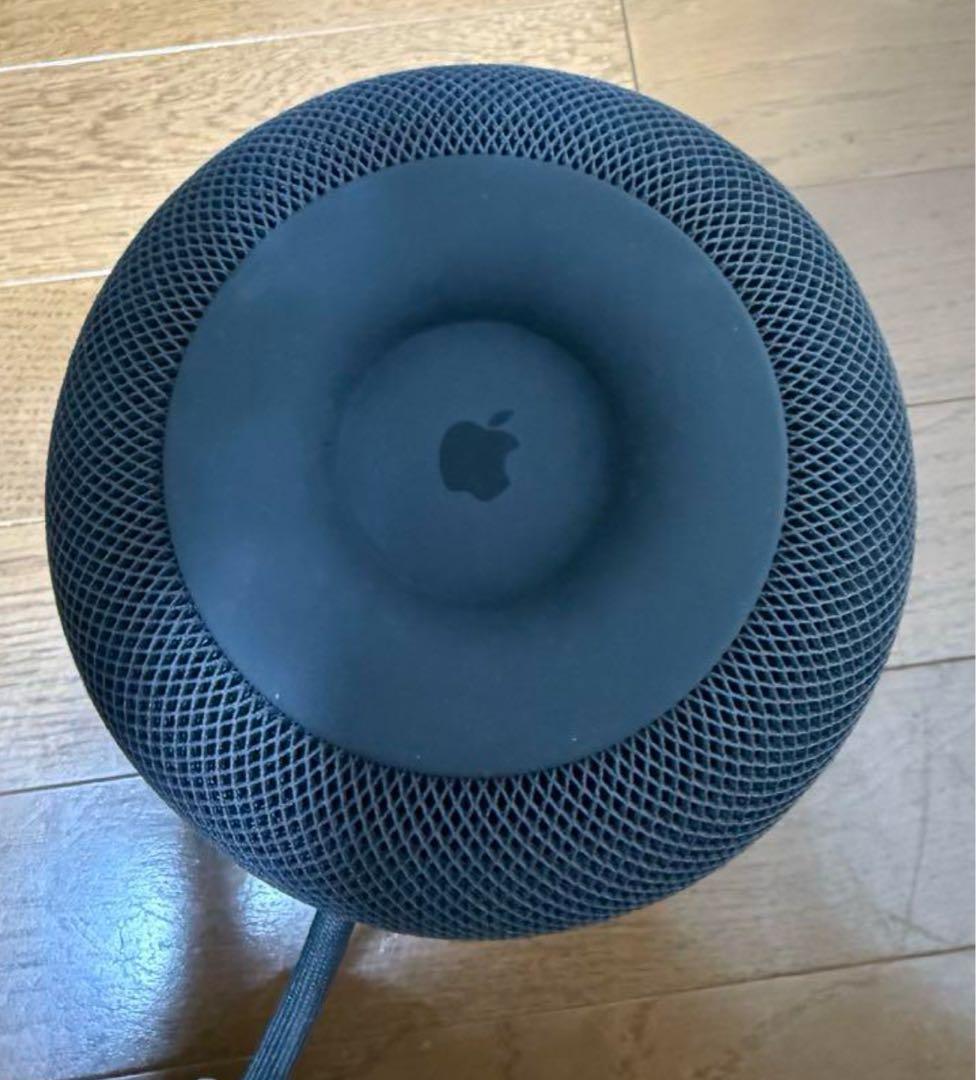 Apple Pod 第1世 MQHW2J/A