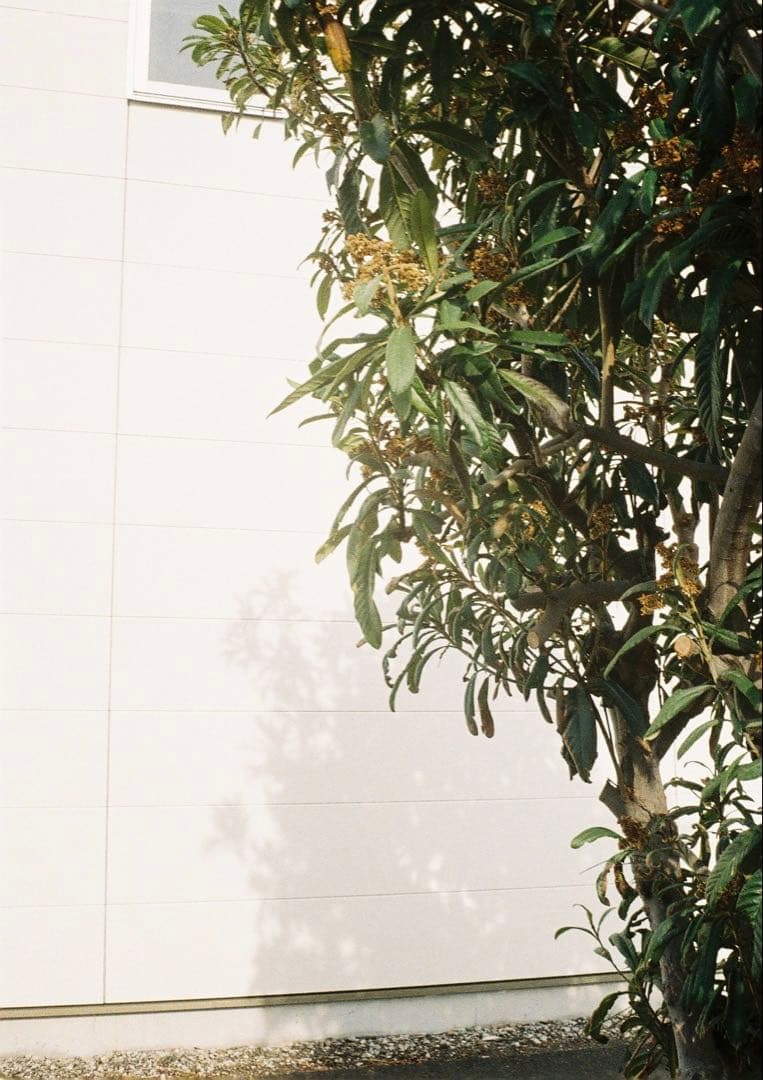 おいも　とします。メンテナンス完了　試写良好