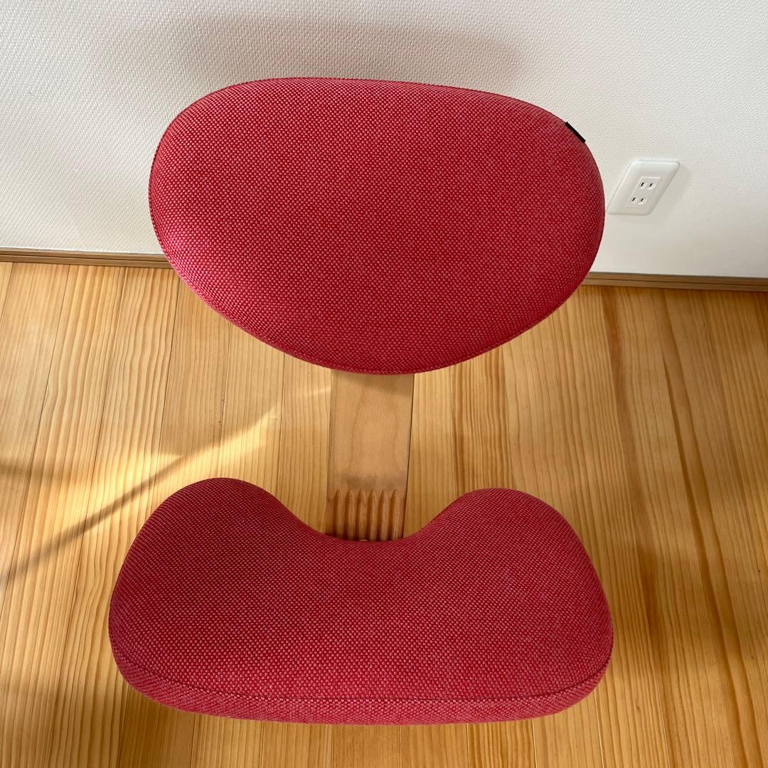 Rybo Balans EASY リボ バランスイージー バランスチェア