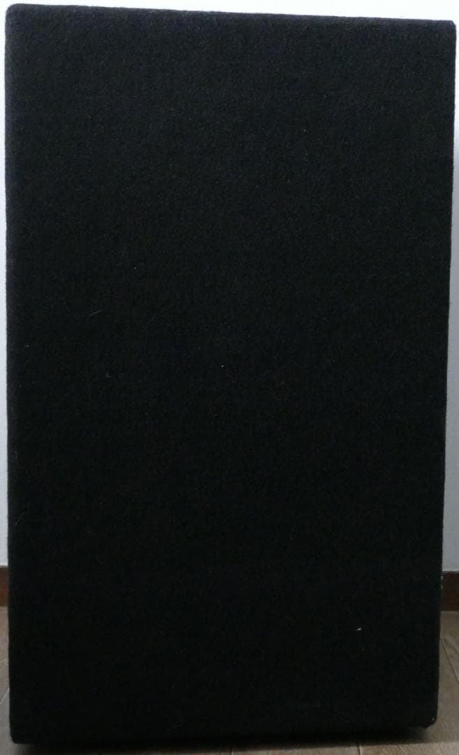 Electoro Voice Force i ペア