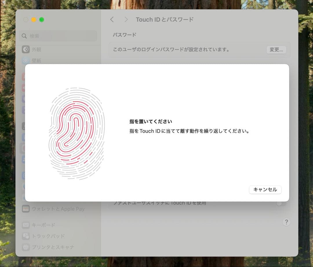 MacBook本体 Apple MacBook Pro 15 2018 i7/16GB/250Gb