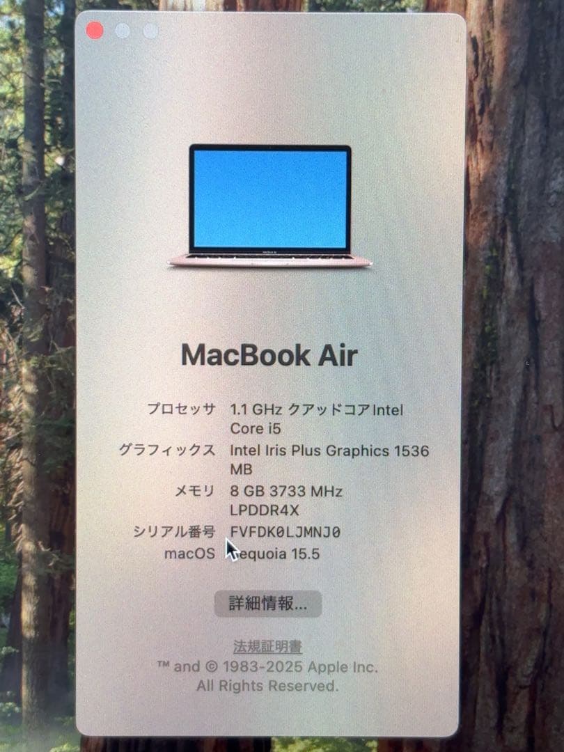 MacBook本体 MacBook Air Retina 2020 i5 8GB 256GB