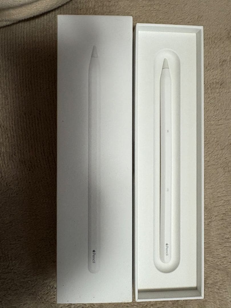 おまけ付き　Apple iPad Pro 11インチ　モデル第4世代　本体